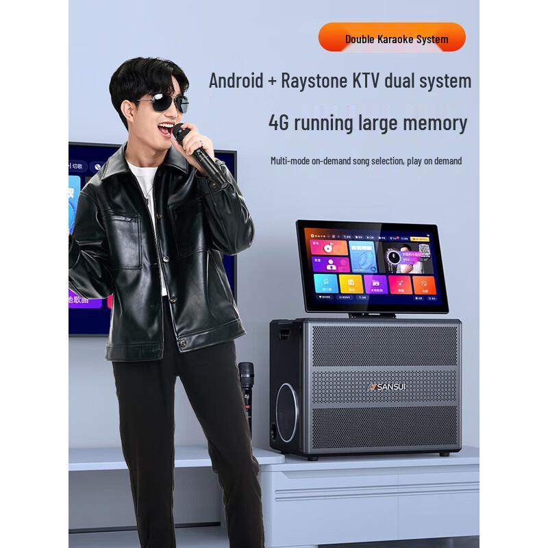 SANSUI Home KTV Audio System E30 CN Plug (adapter Included)