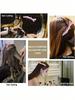 Multi Functional Hair Cli With Crocodile Clip And Hair Styling Clip Positioning Partition, Suitable For Hairdressers And Professional Hairstylists