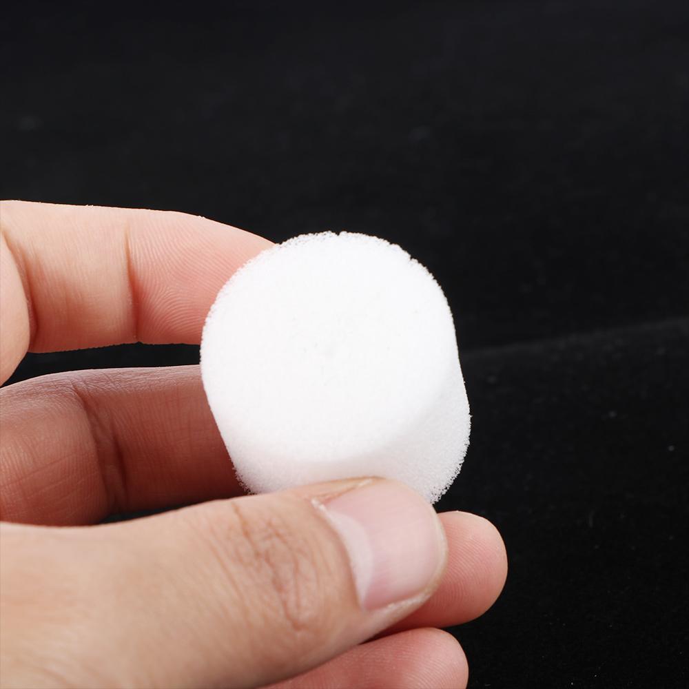 50 Pcs Harmless Natural Hydroponic Vegetable Soilless Cultivation Gardening Tools Planted Sponge