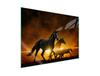 Glass Stove Protection Plate 70x52 Horse