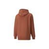 Puma X Butter Goods Hoodie 'Brown' Men's 534057-87