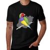 Gouldian Finch Colour Pencil Drawing Tshirt Trendy Casual Short Sleeve Shirt