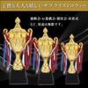 Hyack Trophy, Championship Cup with Ribbon, for Golf Contests, Prizes, Sports, Tournaments, and Events (28.5cm) [Parallel Import]
