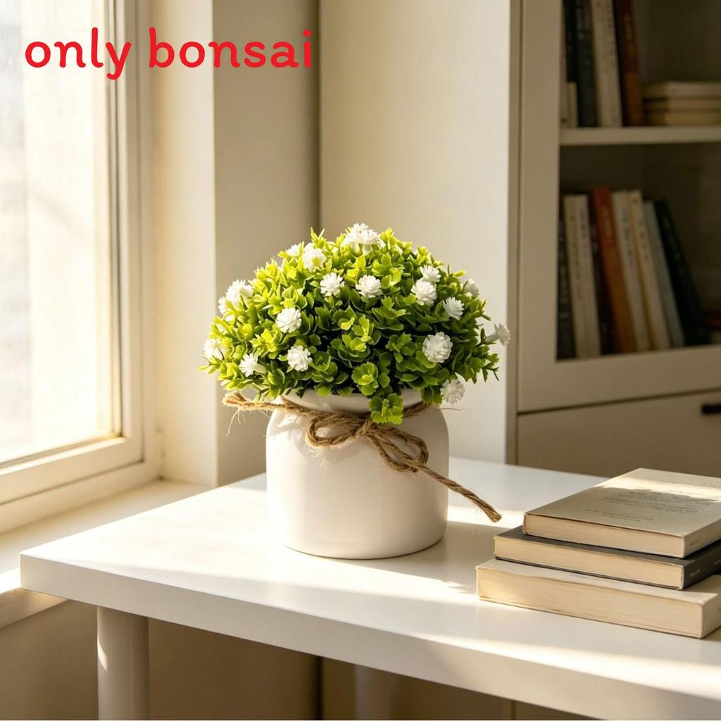 Full Sky Star Artificial Flower Pot For Home Decor And Photography Prop