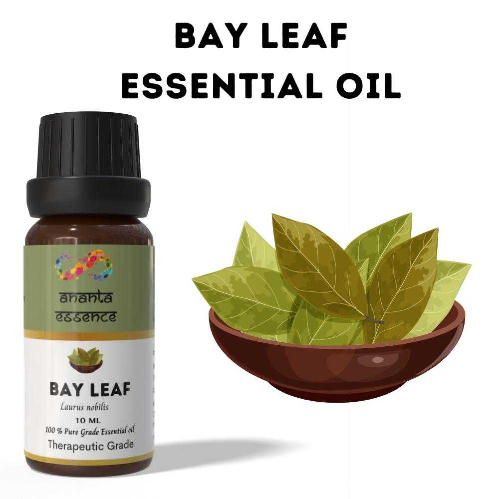 

Ananta Bay Leaf Essential Oil 10ml – Natural Spicy Herbal Aromatic Oil for Diffuser & Home Fragrance Volume=10ml