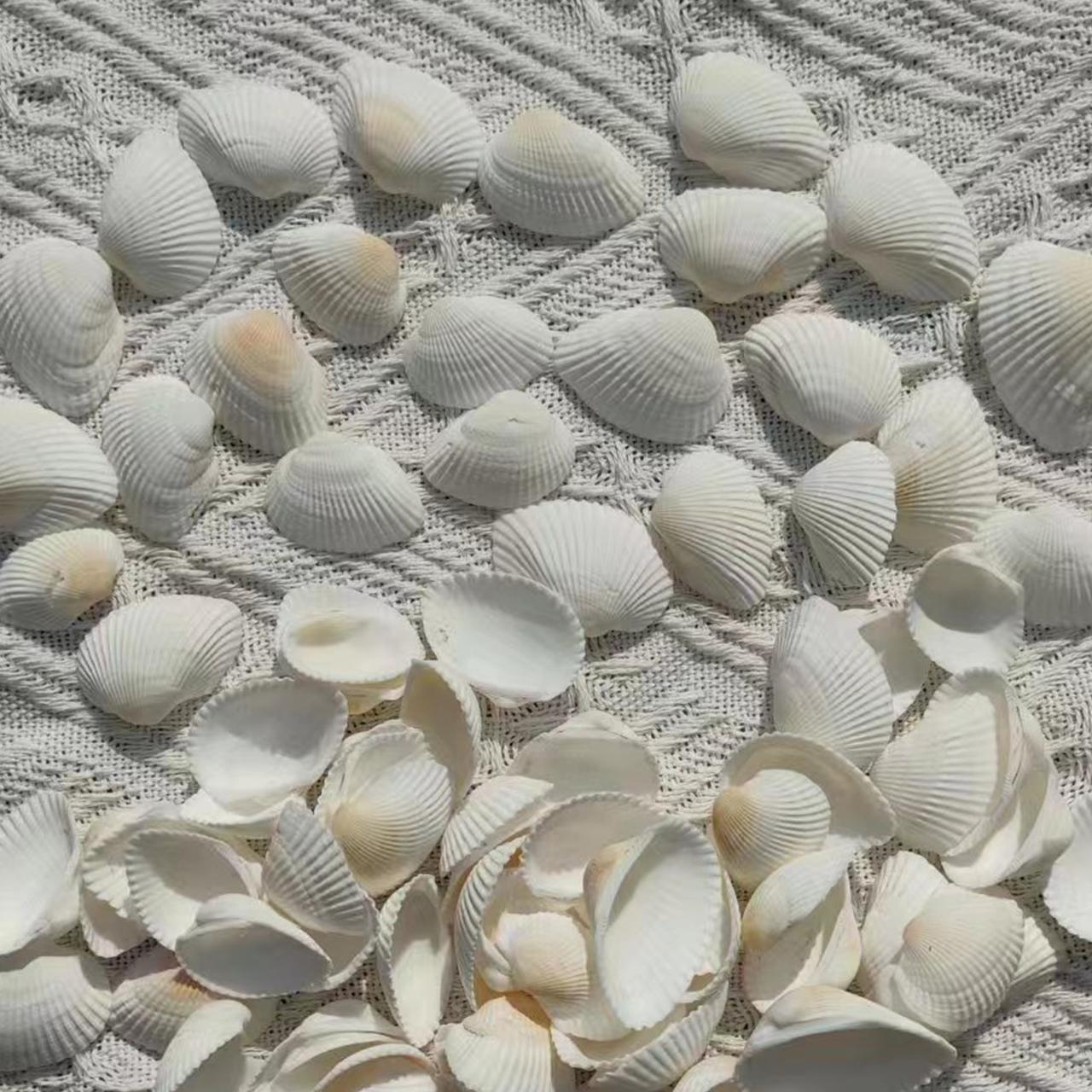 Handmade Seashell & Starfish Photo Frame for Fish Tank Landscaping