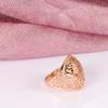 New Hollow Flower  Rose Gold Ring Round Micro-Wax Inlay Natural Zircon Rings Women Wedding Party Fine Jewelry