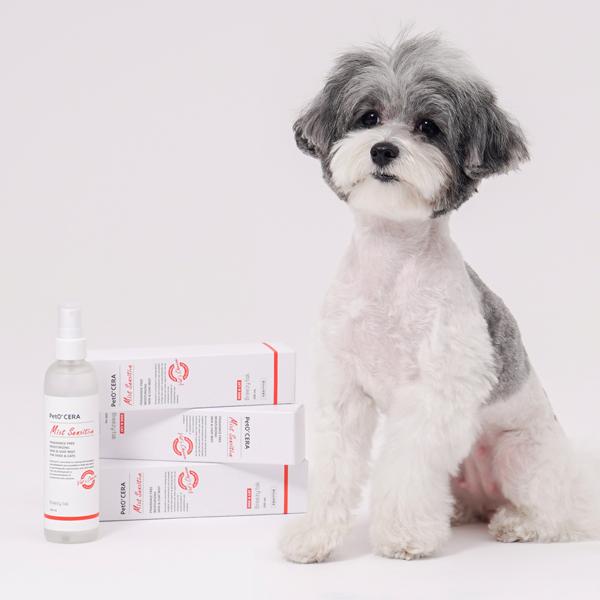 Bridgetail Petocera Dog Cat Hypoallergenic Moisturizing Mist Unscented, Korean pet shampoo