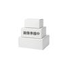 Iwasaki Works IWA PP Resin Pipe Fitting Reducing Hex Socket 49SKT2015P for Plumbing and Sprinklers