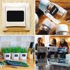 PVC Blackboard Label Stickers, 300 Pcs/roll - Removable & Waterproof for Kitchen Storage.