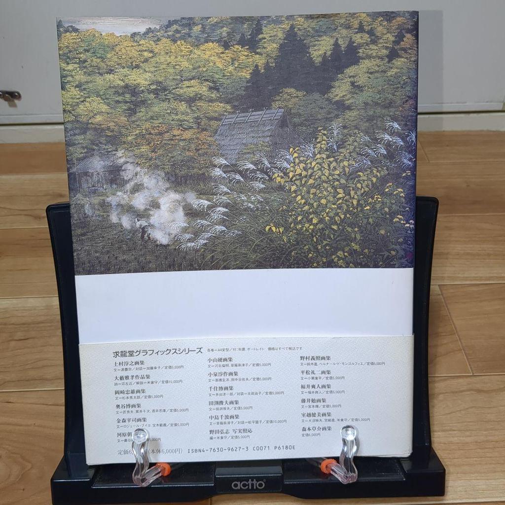 [USED] Shibusawa Kei Art Collection