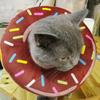 Adjustable Cat Recovery Collar, Cute Cat Donut Collar, Soft Cone Collars for Cat, Wound Healing Protective Cone After Surgery