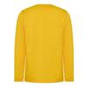 Puma Mens Team Long-Sleeved Shirt