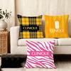 Clinique Fashion Brand Logo Cushion Cover Silky Short Plush Home Sofa Cushion Cover - Invisible Zipper Home Decoration