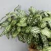 8 Heads Artificial Green Plant Real Touch Lifelike Simulation Greenery Handmade No Watering Faux Plants Wedding Party Decor