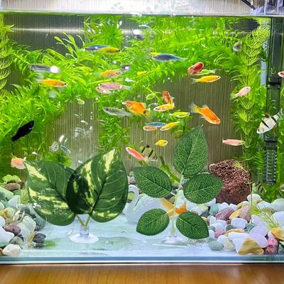 Betta Beds For Fish Tank Betta Fish Leaf Pad With Suction Cup Artificial Plant For Shrimp Guppy Sleeping Playing Hiding Spawning