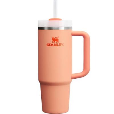 Stanley H2.0 Vacuum Quencher 0,88L Nectarina Retenção de Frio Garrafa de Água de Canudo Resistente Lava-Louças para Exterior no Verão