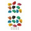 10Pcs Rock Climbing Holds Beginners Accessories Climbing Rock Wall Grips for Home Gym Tree Climbing Tree House Outdoor Climbing