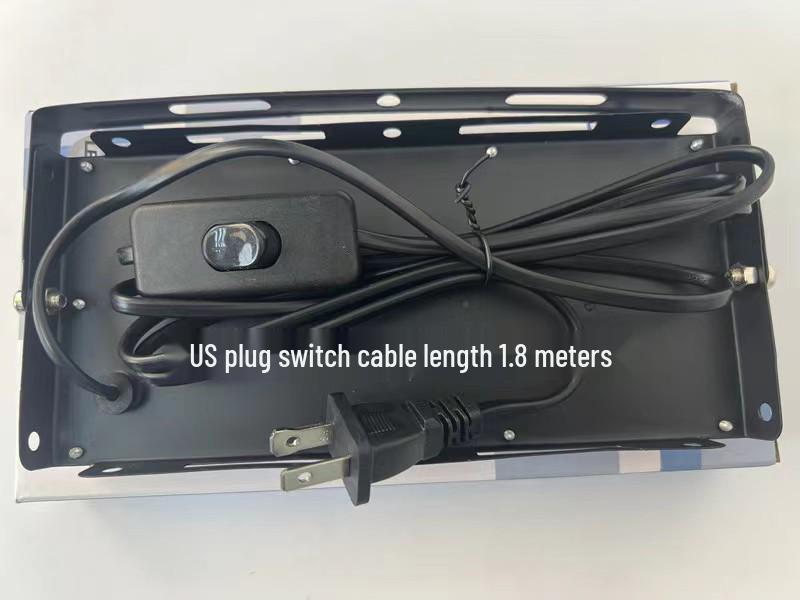 50W/100W Outdoor Waterproof LED Floodlight with European Plug, Super Bright Projection