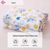 Grace Antibacterial Summer Cooling Quilt