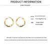 Geometric Hollow Retro Twisted Hoop Earrings - Titanium Steel, Non-fading