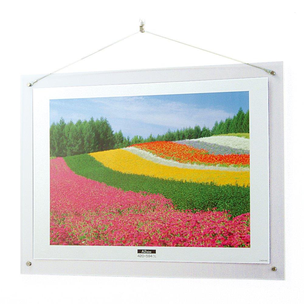 NAKABAYASHI Acrylic Picture Frame, Wall-Mounted, A2, F-ACH-A2