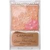 Glow Flow Cheek Powder Blusher