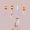 Retractable Cat Teaser: Feather Door Hanging Toy for Self-Play & Boredom Relief