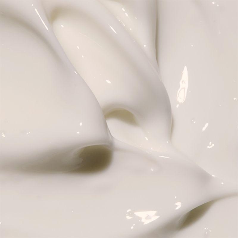 [HOLITUAL] Concentrate Signature Cream Light 80 mL /2.71 fl oz
