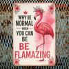 Vintage Flamingo Metal Poster, Iron Wall Hanging Sign for Home Kitchen Bar