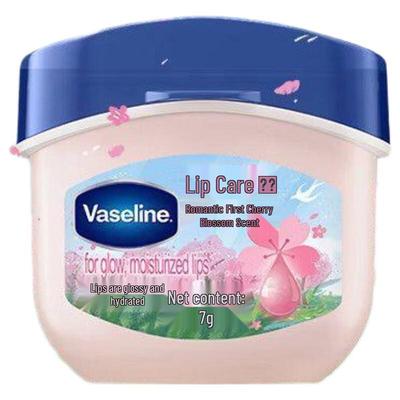 Vaseline Classic Special Care Lip Balm
