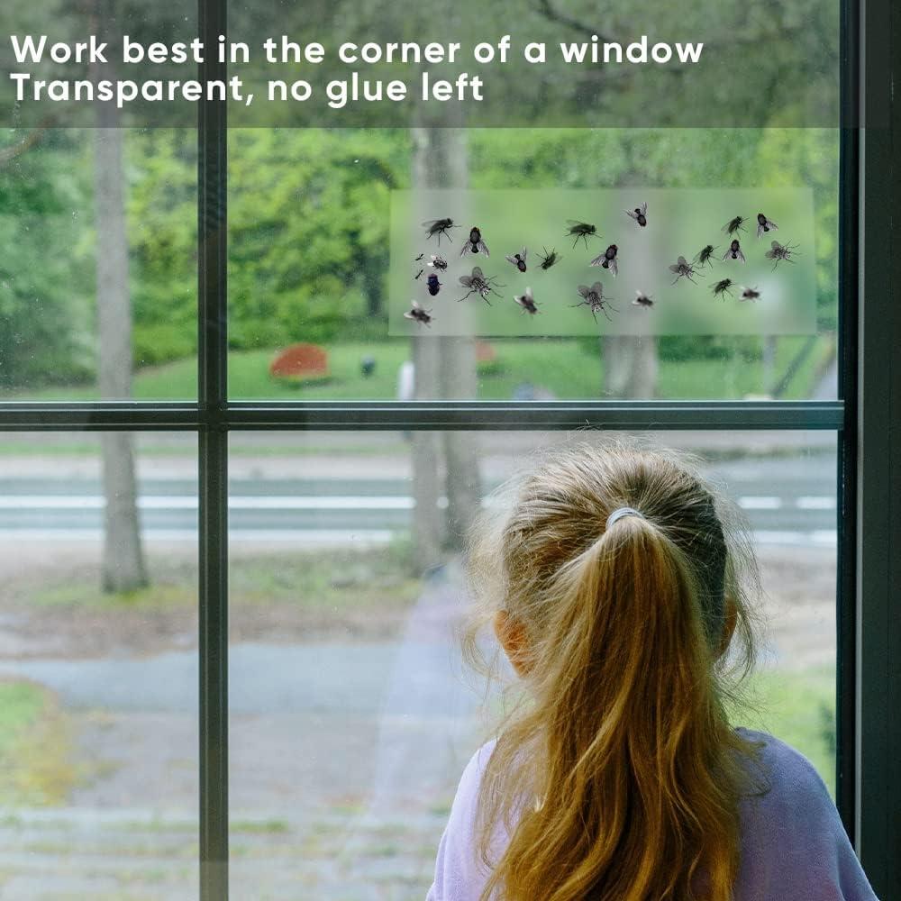 Lot de 10 pièges à mouches pour fenêtre, insectes, punaises, mouches, mouches des fruits, colle adhésive, papier collant, imperméable, application facile, prêt à être jeté, non toxique