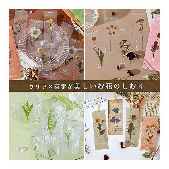 Moin Moin Bookmark Set - 30 Transparent Floral Designs with English Flower Names, Waterproof PET, Approx. 5cm X 14cm - Perfect for Readers and Gifts