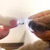 LED-Licht, Nagelknipser für Katzen und Hunde, professioneller Haustier-Klauenschneider mit Sicherheitsschloss, für Welpen, Kätzchen, Tiere, Fellpflege, Werkzeug-Set