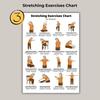 5Pcs Chair Balance Stretch Yoga Exercise Poster Set for Seniors Low-Impact Home Workout Plan for Elderly Anti-Fall & Mobility Guide Fitness Wall Art