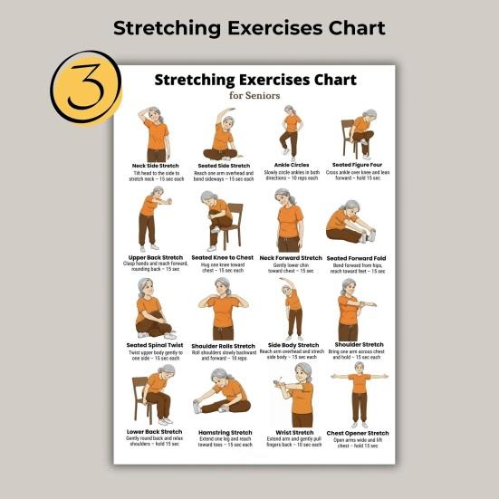 5Pcs Chair Balance Stretch Yoga Exercise Poster Set for Seniors Low-Impact Home Workout Plan for Elderly Anti-Fall & Mobility Guide Fitness Wall Art
