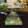 Raised Reptile Terrarium with Lock and Thermometer, Glass and Wire Mesh, 50x30x25 Cm, Black