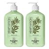 Hemp Nation Agave Lime Tanning Extender Body Lotion 535ml 2 Pieces
