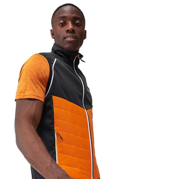 Regatta Steren Hybrid Softshell-Jacke