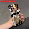 2DFlat Samsung Phone Case Sunglass Goats City View Phone Case Applicable To Galaxy S22 S23 S24 S25ULTRA S26 A12 A13 A14 A15 A16