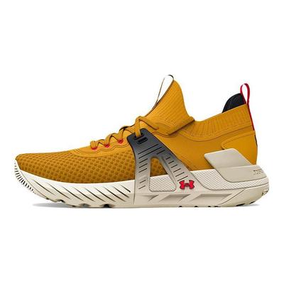 Project Rock 4 Heritage Men Sneakers Gold Cruise-Gold Stone 3025942-701