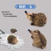 Wild Hedgehog Animal Model, Kids Cognitive Forest Hedgehog Desktop Figure Toy