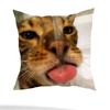 DoubleSided Funny Cat Meme Plush Pillow Case Square Cushion Cover for Living Room Sofa Bedroom and Bedside Decor
