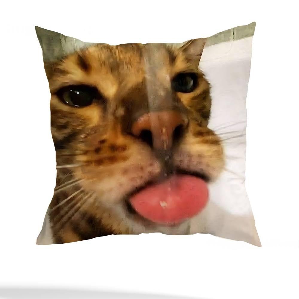 

DoubleSided Funny Cat Meme Plush Pillow Case Square Cushion Cover for Living Room Sofa Bedroom and Bedside Decor 45cmx45cm