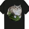 Men's Cute Cat & Watermelon Meme T-Shirt, Funny Animal Print Casual Streetwear Tee