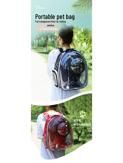 Transparent Cat and Dog Backpack - Large Space Pet Outing Bag