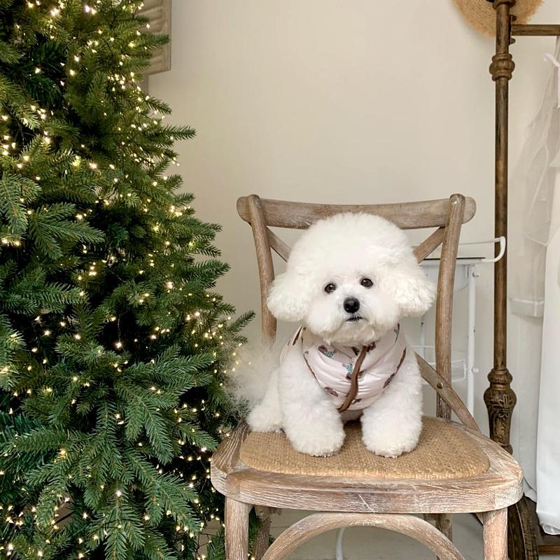 Pet Autumn And Winter Clothing Dog Cotton Coat Traction Bichon Pomeranian Schnauzer Yorkshire Terrier Small Dog Teddy Clothes