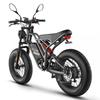 Electric Bicycle Fafrees F20 Ultra 20" Fat Tire 750W Motor Dual Hydraulic Brake 48V 25AH All Terrain Adult Electric Bike 7 Speed
