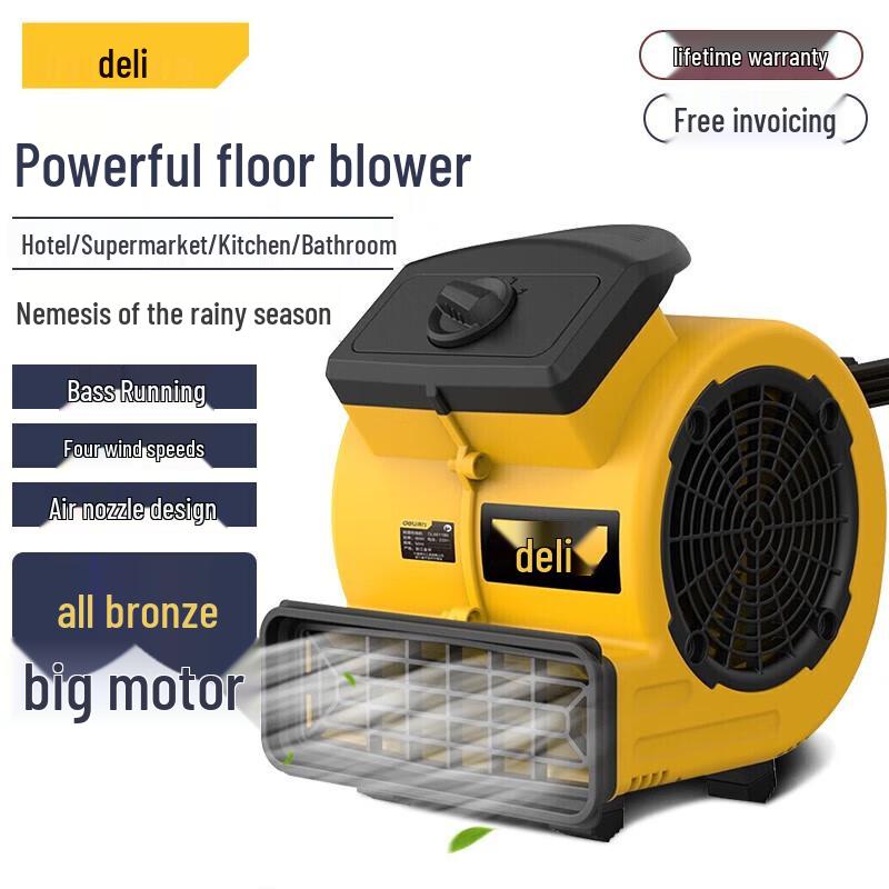 Deli 90W Silent Floor Blower & Dryer