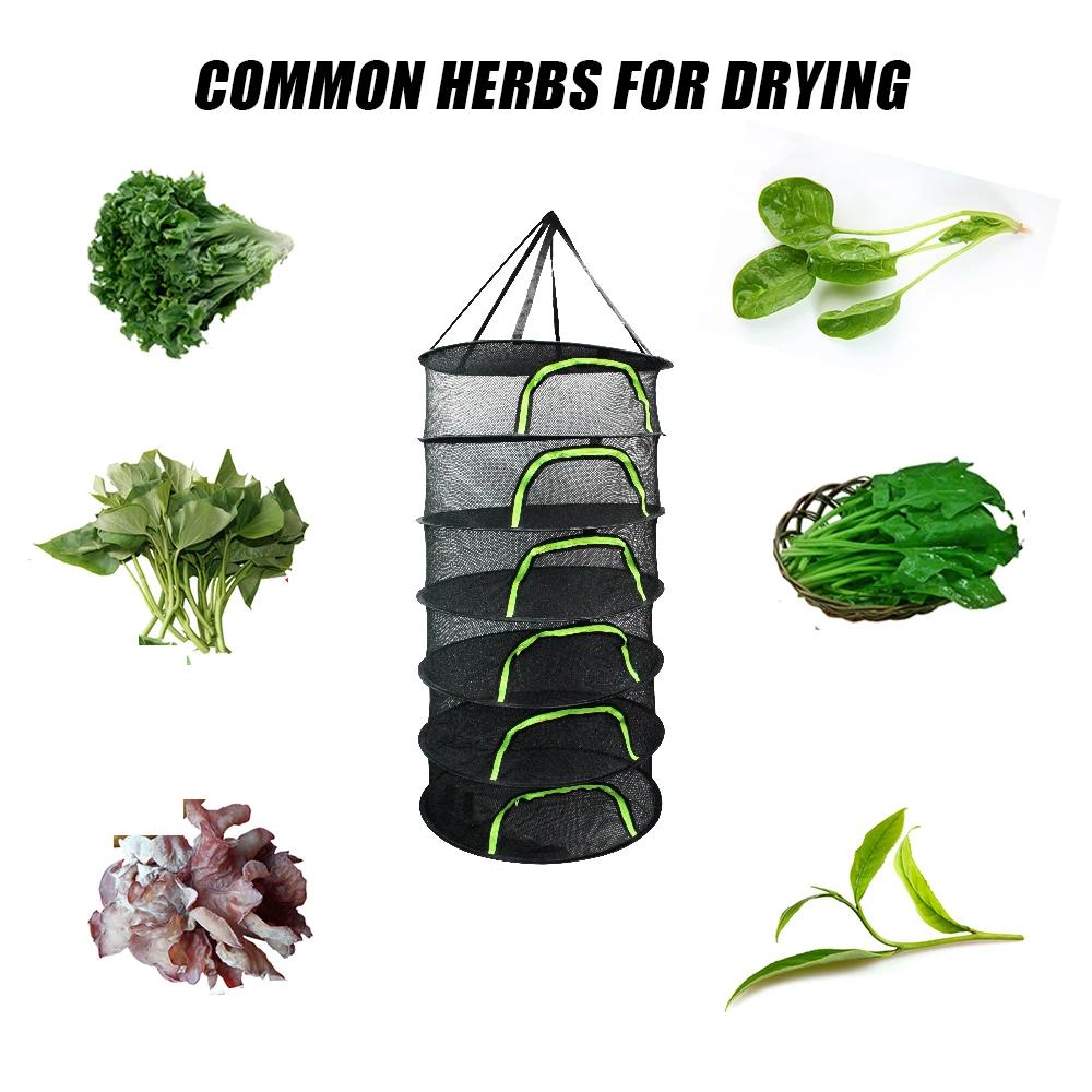 Folding Dry Rack 6 Layers Drying Net for Herbs Hanging Basket Dryer Bag Mesh Herb Drying Net for Flowers Buds Plants Organizer